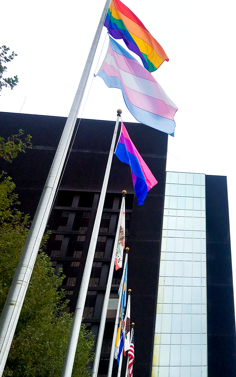pride-trans-bi-flag-county-center.png